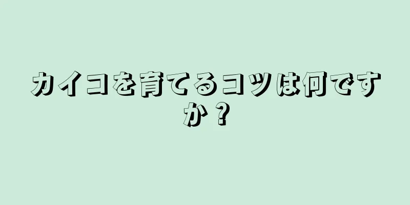 カイコを育てるコツは何ですか？