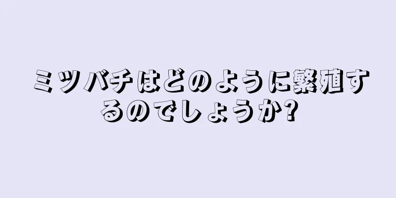 ミツバチはどのように繁殖するのでしょうか?
