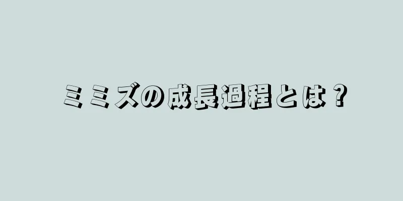 ミミズの成長過程とは？