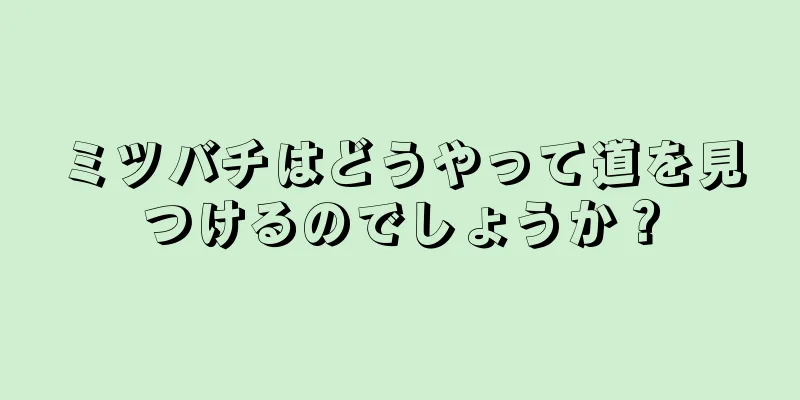 ミツバチはどうやって道を見つけるのでしょうか？