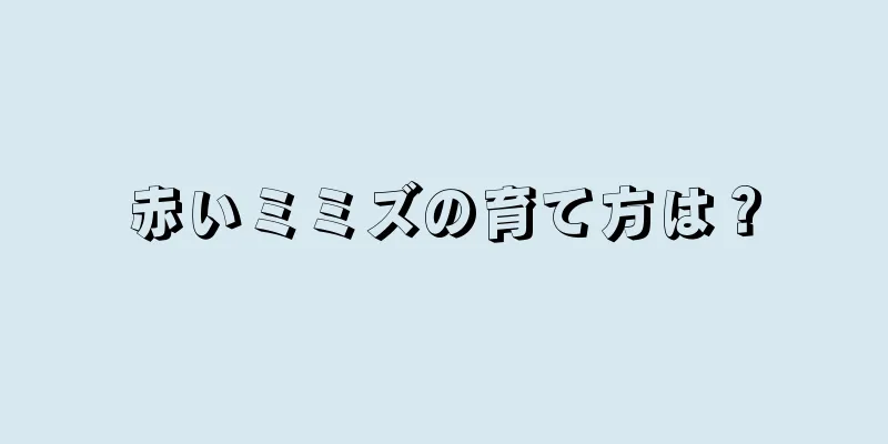赤いミミズの育て方は？