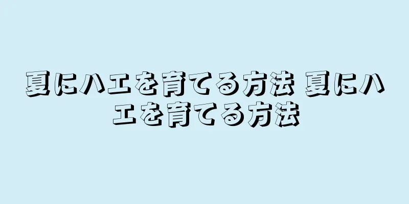 夏にハエを育てる方法 夏にハエを育てる方法