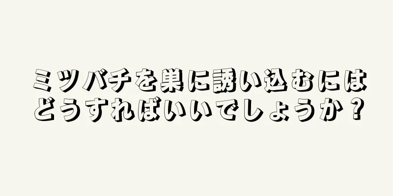 ミツバチを巣に誘い込むにはどうすればいいでしょうか？