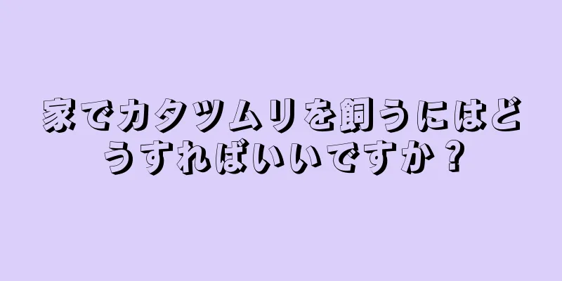 家でカタツムリを飼うにはどうすればいいですか？