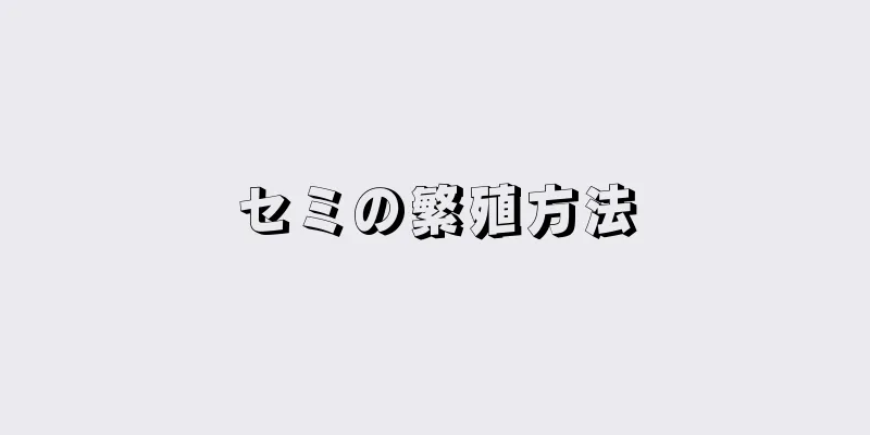 セミの繁殖方法