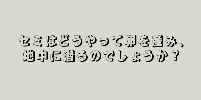 セミはどうやって卵を産み、地中に潜るのでしょうか？