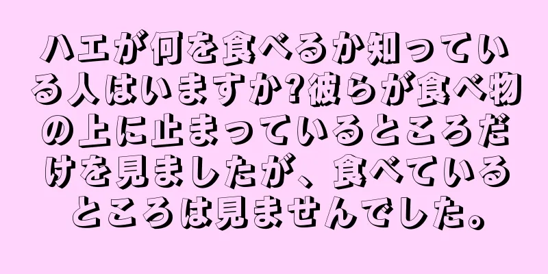 ハエが何を食べるか知っている人はいますか?彼らが食べ物の上に止まっているところだけを見ましたが、食べているところは見ませんでした。
