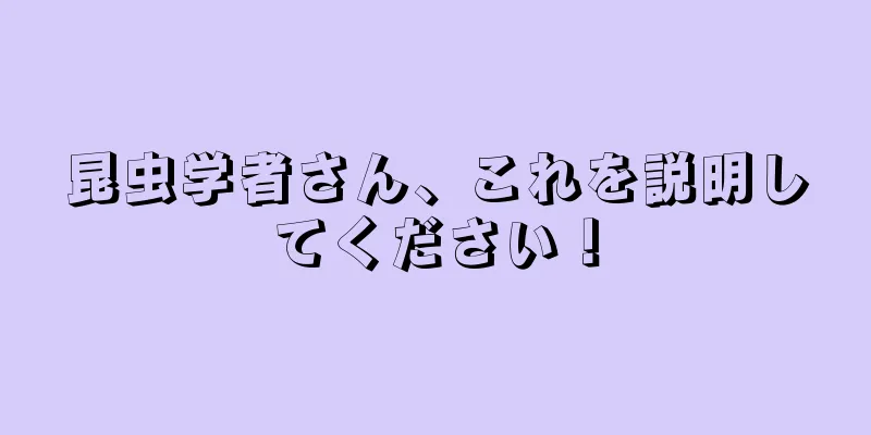 昆虫学者さん、これを説明してください！