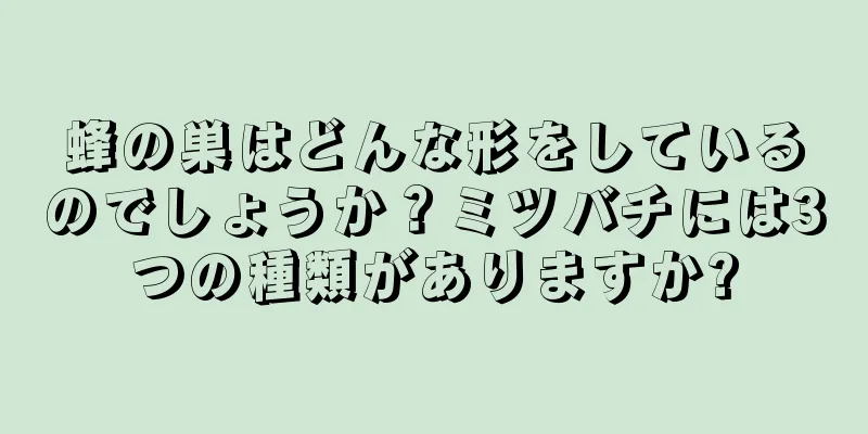 蜂の巣はどんな形をしているのでしょうか？ミツバチには3つの種類がありますか?