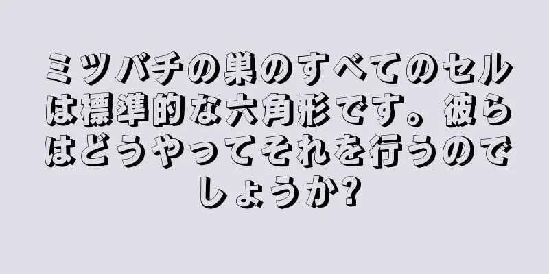 ミツバチの巣のすべてのセルは標準的な六角形です。彼らはどうやってそれを行うのでしょうか?