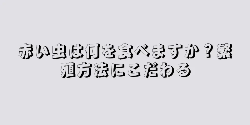 赤い虫は何を食べますか？繁殖方法にこだわる