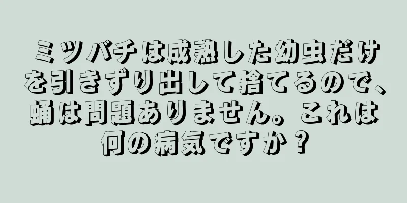 ミツバチは成熟した幼虫だけを引きずり出して捨てるので、蛹は問題ありません。これは何の病気ですか？