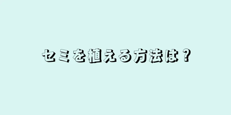 セミを植える方法は？
