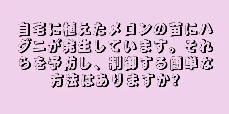 自宅に植えたメロンの苗にハダニが発生しています。それらを予防し、制御する簡単な方法はありますか?