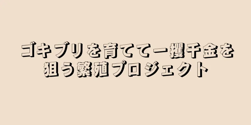 ゴキブリを育てて一攫千金を狙う繁殖プロジェクト