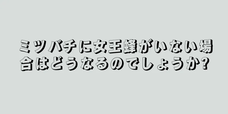 ミツバチに女王蜂がいない場合はどうなるのでしょうか?