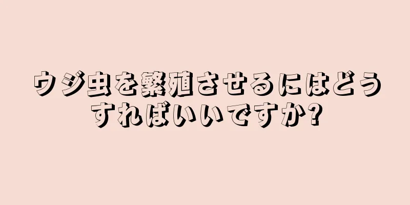 ウジ虫を繁殖させるにはどうすればいいですか?