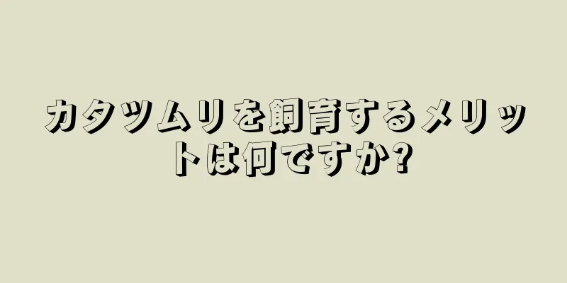 カタツムリを飼育するメリットは何ですか?