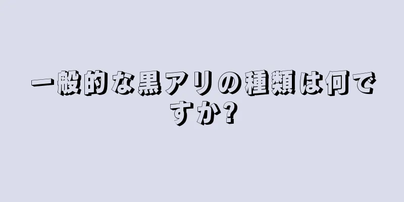 一般的な黒アリの種類は何ですか?