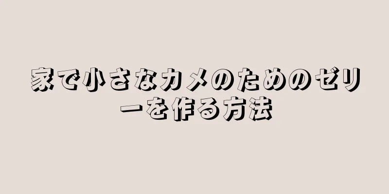 家で小さなカメのためのゼリーを作る方法