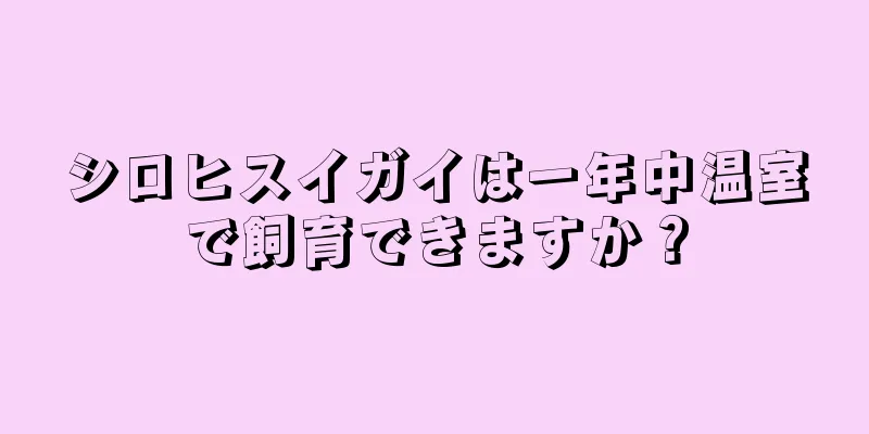 シロヒスイガイは一年中温室で飼育できますか？