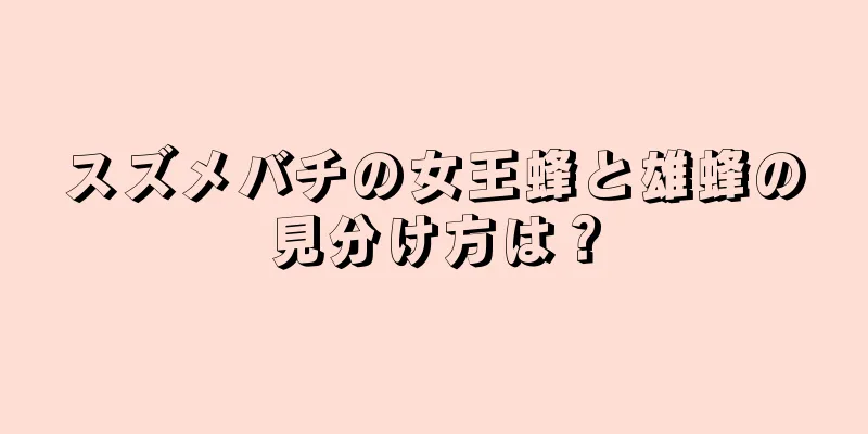 スズメバチの女王蜂と雄蜂の見分け方は？