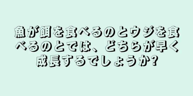 魚が餌を食べるのとウジを食べるのとでは、どちらが早く成長するでしょうか?