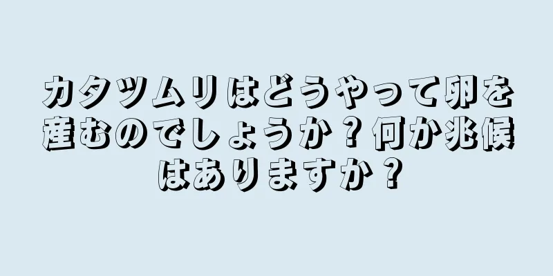 カタツムリはどうやって卵を産むのでしょうか？何か兆候はありますか？