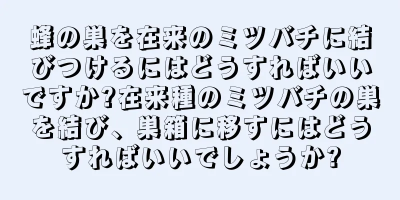 蜂の巣を在来のミツバチに結びつけるにはどうすればいいですか?在来種のミツバチの巣を結び、巣箱に移すにはどうすればいいでしょうか?