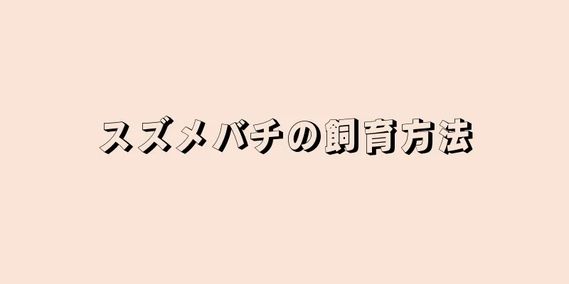 スズメバチの飼育方法