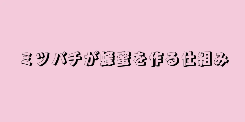 ミツバチが蜂蜜を作る仕組み