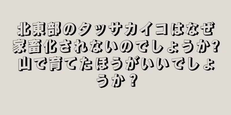 北東部のタッサカイコはなぜ家畜化されないのでしょうか?山で育てたほうがいいでしょうか？