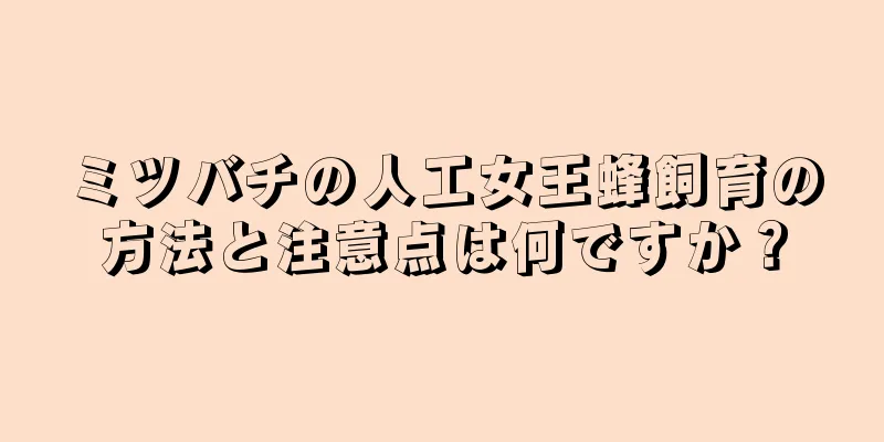 ミツバチの人工女王蜂飼育の方法と注意点は何ですか？
