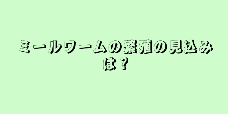 ミールワームの繁殖の見込みは？