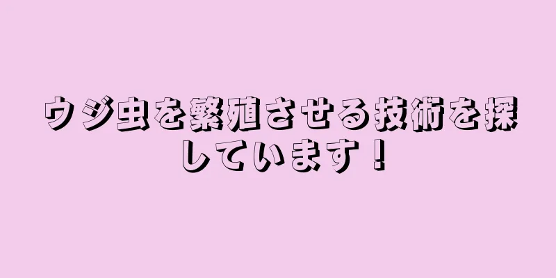 ウジ虫を繁殖させる技術を探しています！