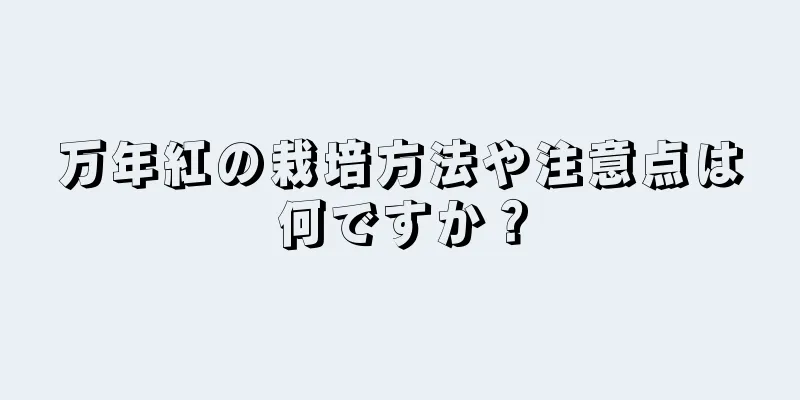 万年紅の栽培方法や注意点は何ですか？