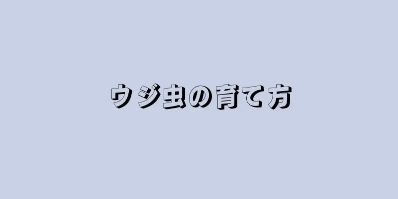 ウジ虫の育て方