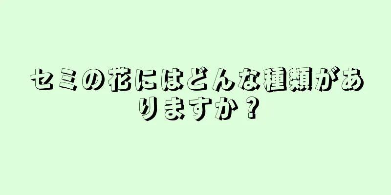 セミの花にはどんな種類がありますか？