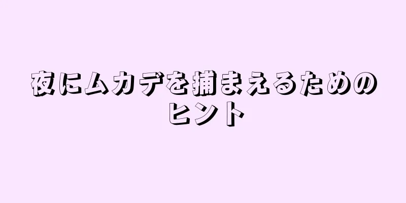 夜にムカデを捕まえるためのヒント