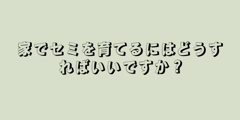 家でセミを育てるにはどうすればいいですか？