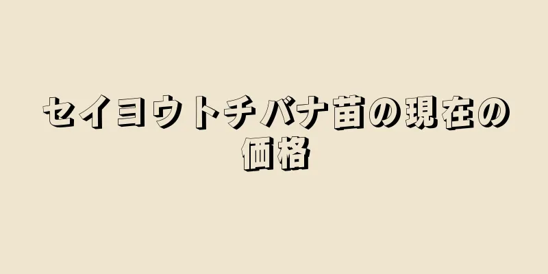 セイヨウトチバナ苗の現在の価格