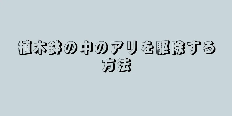 植木鉢の中のアリを駆除する方法