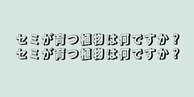 セミが育つ植物は何ですか？セミが育つ植物は何ですか？