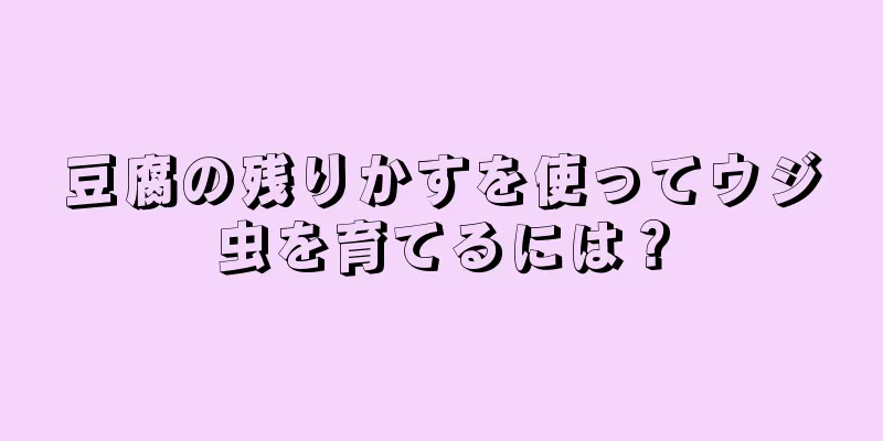 豆腐の残りかすを使ってウジ虫を育てるには？