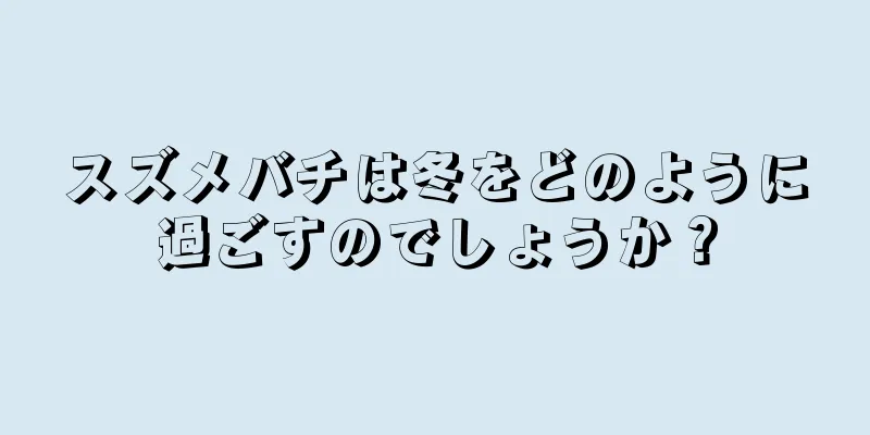 スズメバチは冬をどのように過ごすのでしょうか？