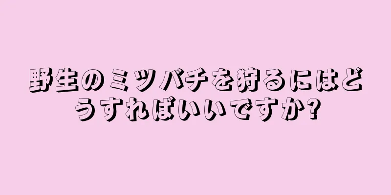 野生のミツバチを狩るにはどうすればいいですか?