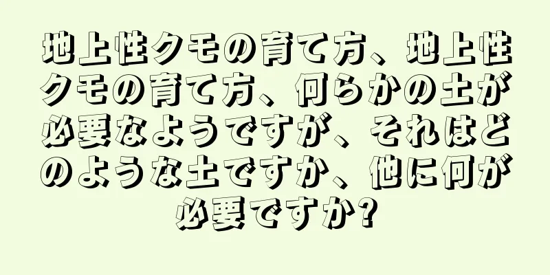 地上性クモの育て方、地上性クモの育て方、何らかの土が必要なようですが、それはどのような土ですか、他に何が必要ですか?