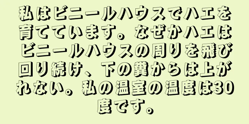 私はビニールハウスでハエを育てています。なぜかハエはビニールハウスの周りを飛び回り続け、下の糞からは上がれない。私の温室の温度は30度です。