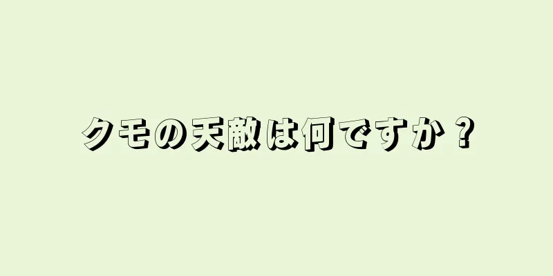 クモの天敵は何ですか？