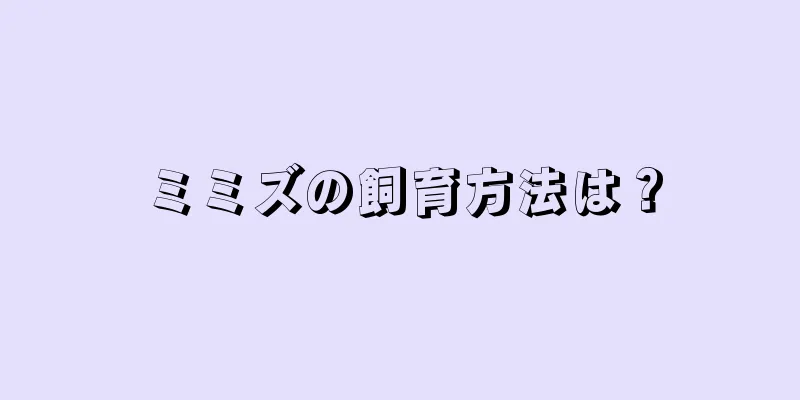 ミミズの飼育方法は？